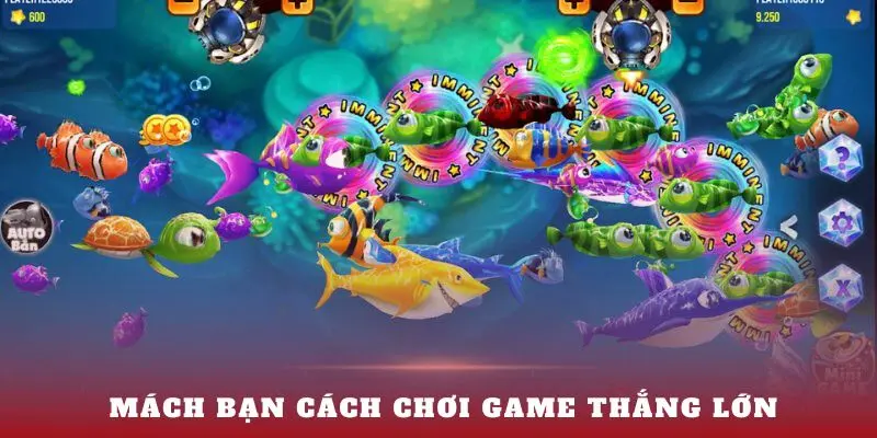 Mách bạn cách chơi game bắn cá h5 thắng lớn